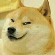 twowolv00102164's profile picture. 