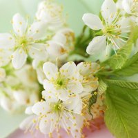 aeterna edits and queries (@aeternavalkyrja) 's Twitter Profile Photo