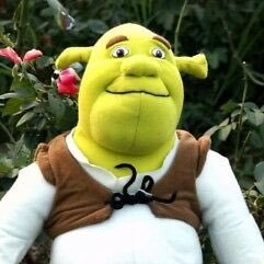 your fav loves shrek !さんのプロフィール画像