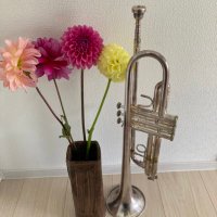 JA7NJJ🎺🍀 (@ja7njj) 's Twitter Profile Photo JA7NJJ🎺🍀 (@ja7njj) 's Twitter Profile Photo