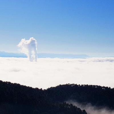 javysala's profile picture. Energy