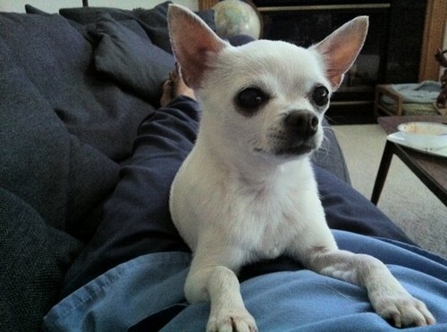 SweetPree's profile picture. 