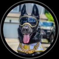 Adps k9 mattis(@AdpsK9) 's Twitter Profileg