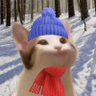 icon_popcat's profile picture. 農工大B3 MCC AtCoder茶