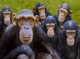 i'm a wife and full time mum to 5 children .. i vollunteer at my local charity shop and i love life..