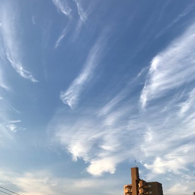 日常の何気ない風景、空、雲、テレビ、ディズニー、ジャニーズ、お買い物が大好きです😍無言フォローまったく問題ありません😄私も通常は無言フォローで失礼いたします😸どうかよろしくお願いします❣
Amazonアソシエイト参加中