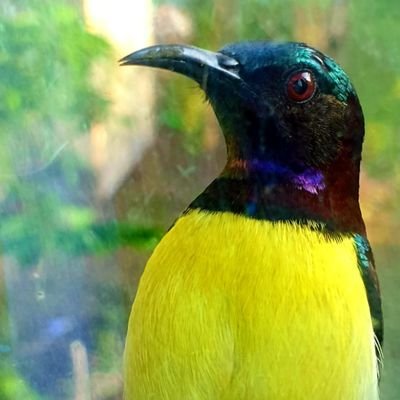 DiviyaShankar's profile picture. 