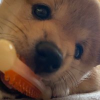 nath (@jnsdlsff1fojuuk) Twitter profile photo