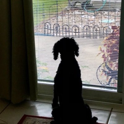 tangotiki's profile picture. Fuck this admin. #UnionStrong.St. Mary's Gaels 🏀; Uke🇺🇦  List me-I block ur ass