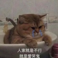 KasutRobok's profile picture. hehe