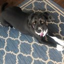 Bill Marburger - @marburgerbill1 - Twitter