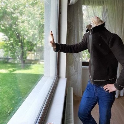 DMizko's profile picture. 