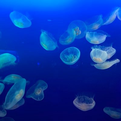 193_193a's profile picture. しなやかな人になりたい。