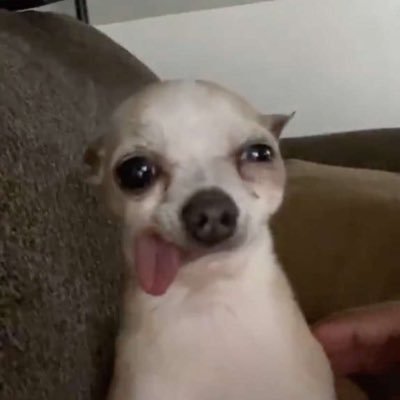 mariberlo_'s profile picture. the pursuit of hapiness