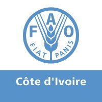 FAO CÔTE D'IVOIRE(@FAOCotedIvoire) 's Twitter Profile Photo