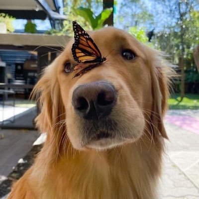 Earthmamame's profile picture. 