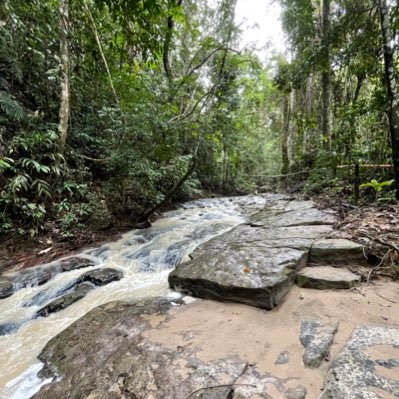 oscarplr's profile picture. 