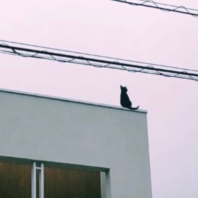 SM_wayk's profile picture. 08jk