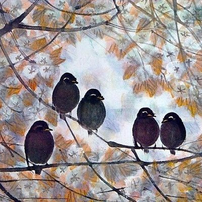 YingfengZheng's profile picture. 