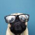 Somchai the Dog (@bkksomchai) Twitter profile photo Somchai the Dog (@bkksomchai) Twitter profile photo