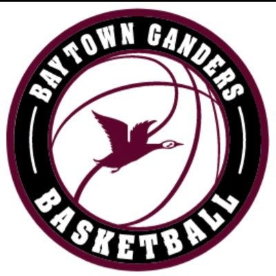 ladyganderhoops's profile picture. Lady 🏀 Gander Adventures... Keep up with your Lee Lady Ganders. Get Ready! #goganders 🏀 #LevelUp #ExpectMore