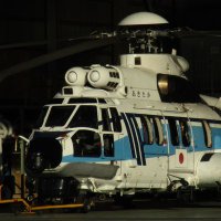 ぴゅーま✈️🚁🐄 (@hnd_ja381a) 's Twitter Profile