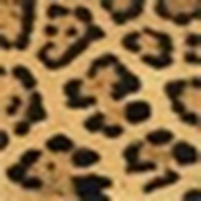 set_jean's profile picture. 