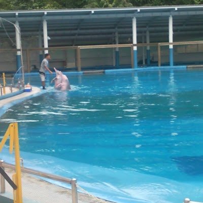 RajeevHarish1's profile picture. 