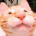 ไอเต้ย (@_itoeyy007) Twitter profile photo ไอเต้ย (@_itoeyy007) Twitter profile photo
