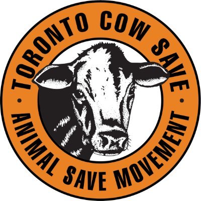 We hold vigils for the hundreds of cows killed daily in Toronto to end violence and use of non human animals through bearing witness and community organizing.