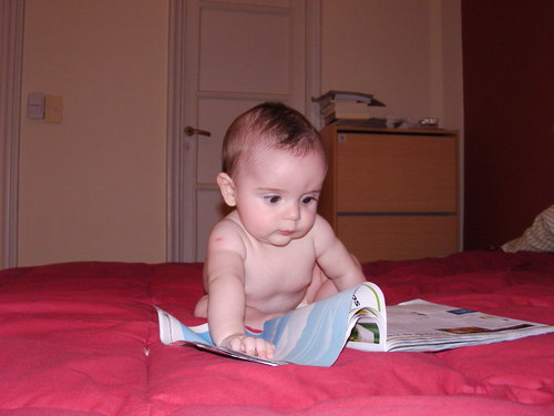 PichuMiranda's profile picture. 