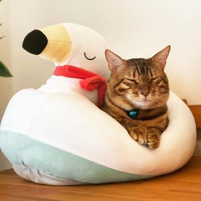 lZLdo8gTFYO4Aru's profile picture. アイコン許可者様
〖#にゃんたまHouse ・たまさん〗
※個人的に楽しむ為の許可済み。
※商用目的ではありません。
※返信一切受け付けません。