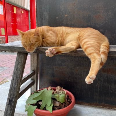 p3677448's profile picture. 