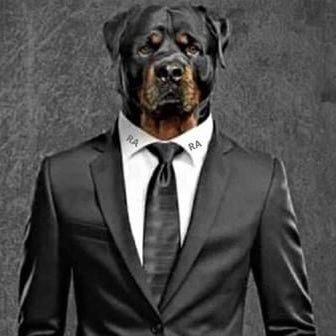 Mister_Ruud's profile picture. 