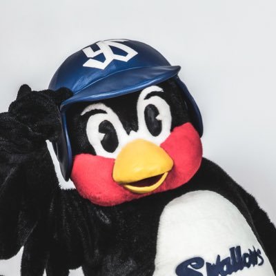 2019年に息子氏と初神宮→何となくジャイアンツファンからスワローズファンへ鞍替え→割とガチに… 2021年現地観戦戦績6勝5敗1分