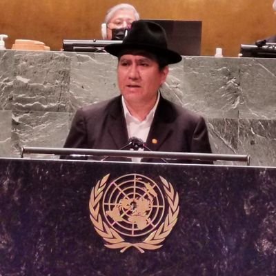 Representante Permanente de Bolivia ante la ONU. Canciller del Estado Plurinacional de Bolivia 2018-2019. Viceministro de Educación Superior 2008-2011.