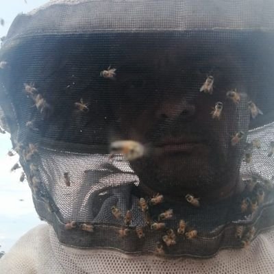 protector de abejas, cuidador de vida, amigo de la naturaleza, Apicultor-zootecnista