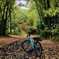 TrendyTrainer/BJP.PedLup13 (@trendytrainer13) 's Twitter Profile Photo TrendyTrainer/BJP.PedLup13 (@trendytrainer13) 's Twitter Profile Photo
