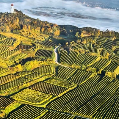 BKoberl's profile picture. bleibt alles anders