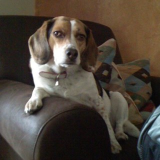 mftannen's profile picture. 