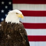 🇺🇸 America First Profile