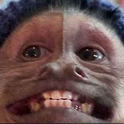 ReyraRey's profile picture. Una mortal más tratando de sobrevivir