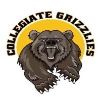 Collegiate Elementary School (@collegiatehwdsb) 's Twitter Profile