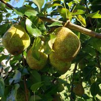 Pam Uptmor (@pamuptmor) 's Twitter Profile Photo Pam Uptmor (@pamuptmor) 's Twitter Profile Photo