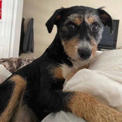 LYMINetwork's profile picture. Official Fan Account of the LYMI Network Discord