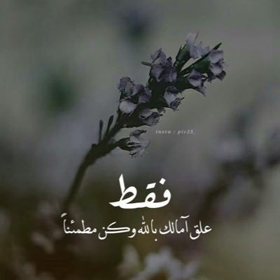 mahmoudali9523's profile picture. جميع الخدمات بأقل الأسعار واتساب مباشر اضغط الرابط https://t.co/o8qdIyAO1l