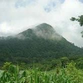 RodriCastle74's profile picture. 