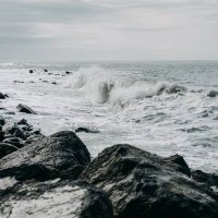 stormy seas(@BillyDouglass7) 's Twitter Profile Photo