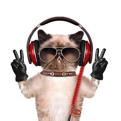 LoryeLadybug's profile picture. 