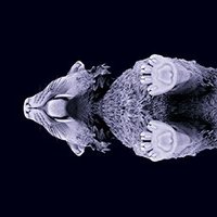 F1Y3RUS (@fiyerus) Twitter profile photo